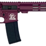 Buy Great Lakes Firearms Black Cherry Rifle